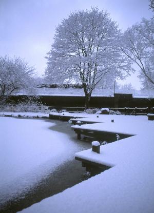 Twinkle Park Pond in Snow Charlotte Turner Gardens Deptford London